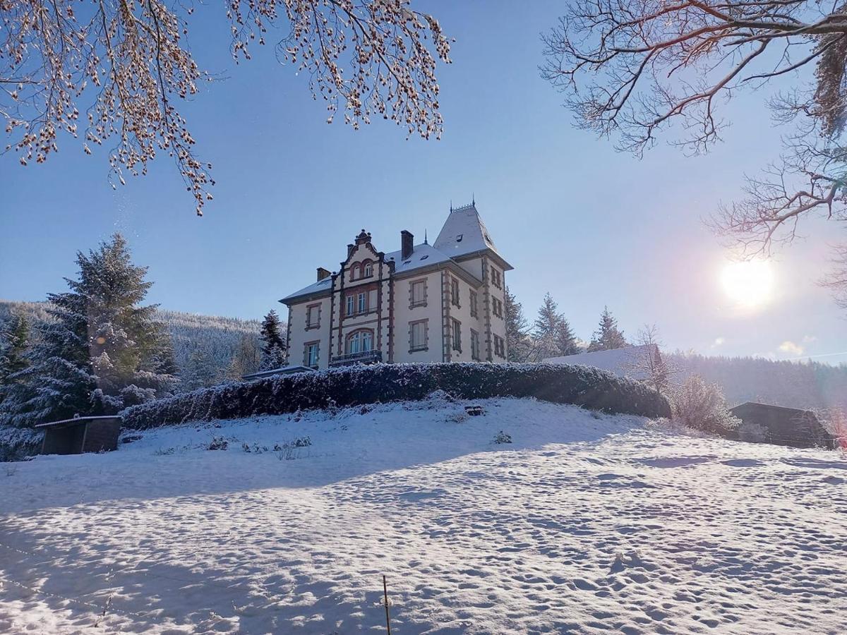 Chateau Robert Raon-l'Etape Exterior photo