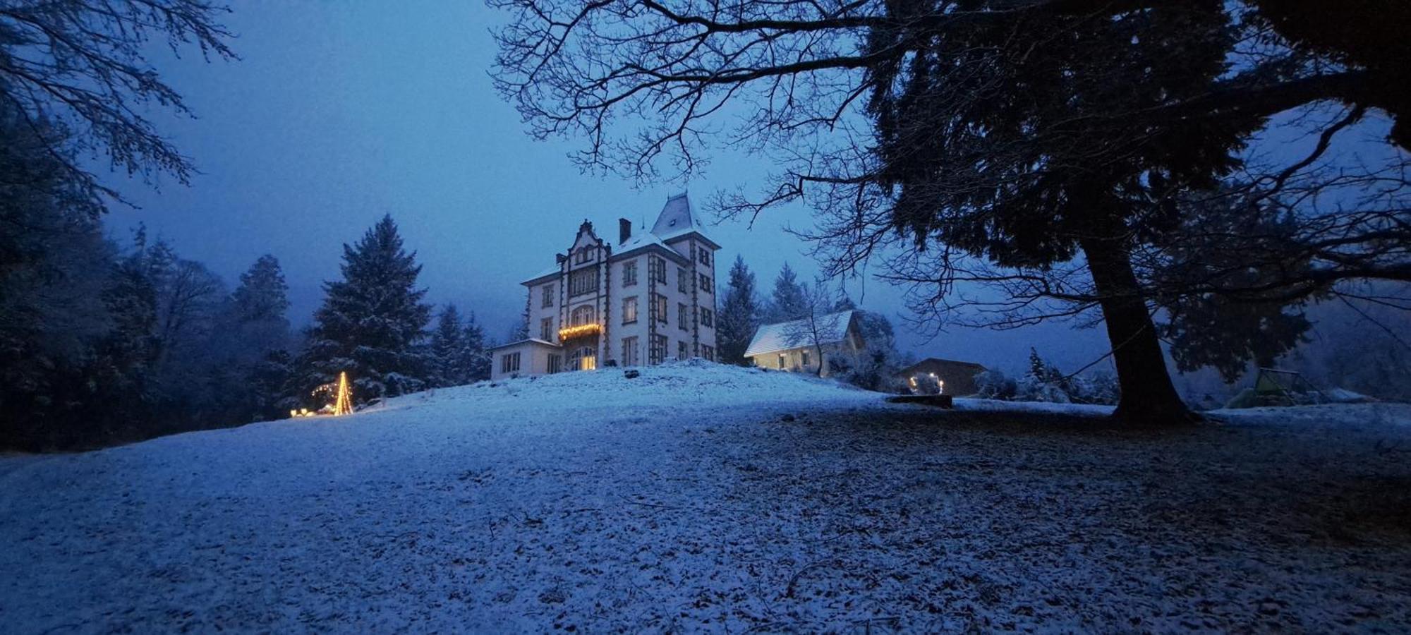 Chateau Robert Raon-l'Etape Exterior photo